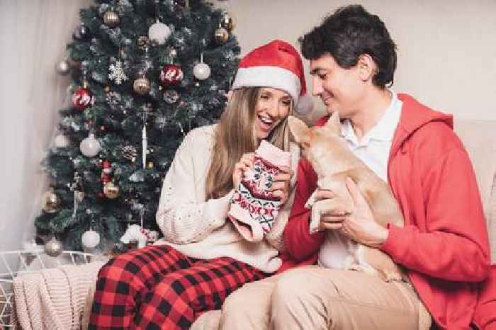 Festive Holiday Gifts for Pets