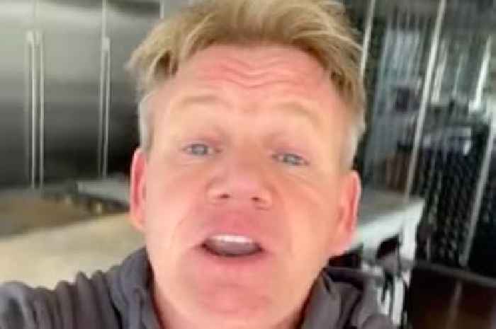 Gordon Ramsay shows off singing voice on TikTok and teases new career