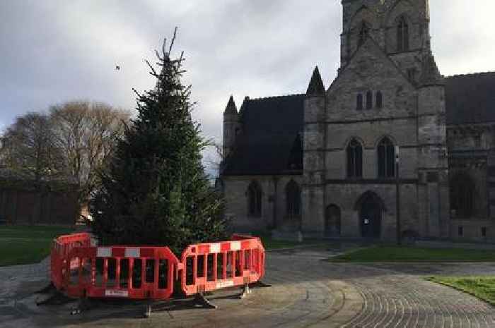 Grimsby's main Christmas tree is up - but people say it should be bigger