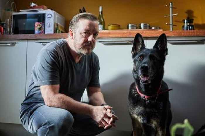 After Life Season 3: Everything we know about Ricky Gervais' new Netflix series so far