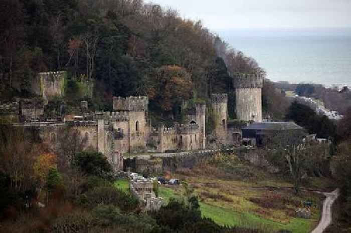 I’m A Celebrity...Get Me Out of Here! campmates removed from Gwrych Castle