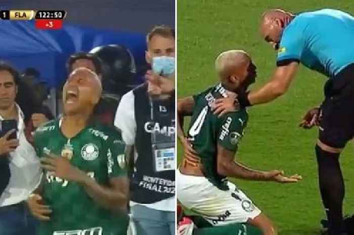 Player falls to the ground after push from referee in glorious time-wasting attempt