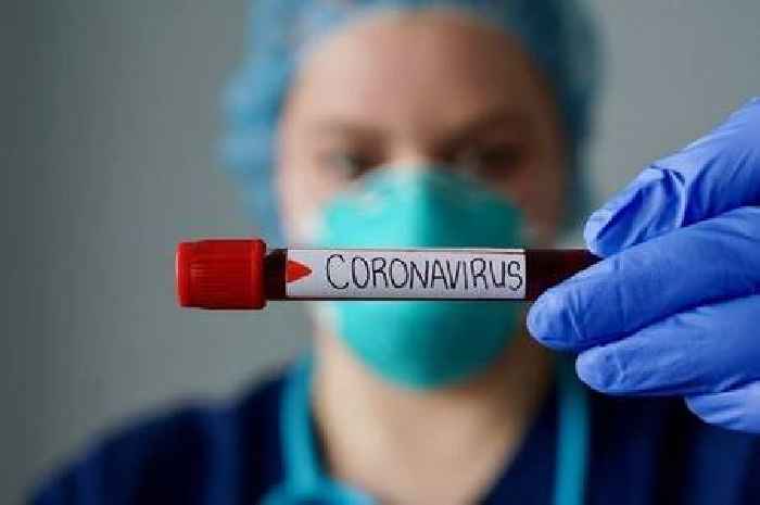 Six cases of Omicron covid-19 variant found in Scotland