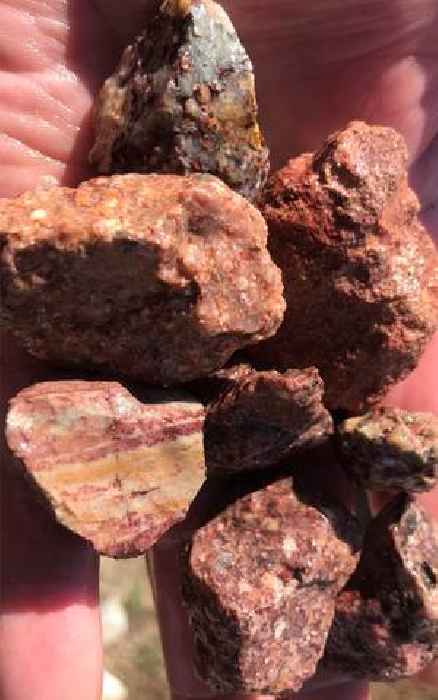 NV Gold Confirms Potential Extension of Gold Mineralization at Slumber Project