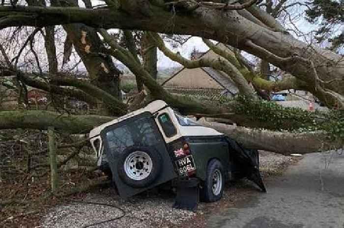 Man spends four years restoring vintage Land Rover only for it to be crushed by a tree during Storm Barra