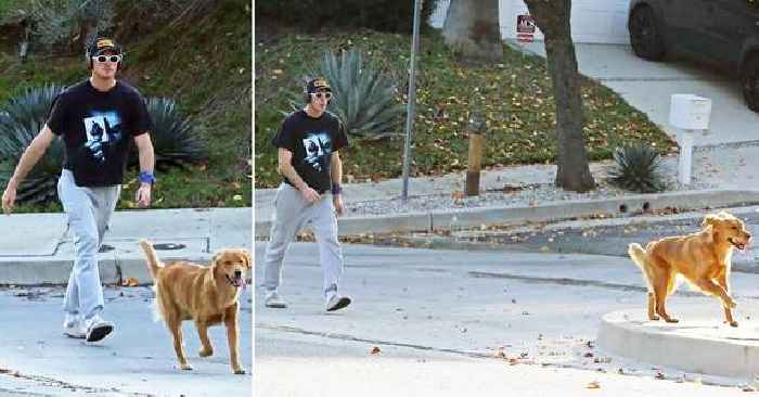 'Euphoria' Star Jacob Elordi Spotted Taking His Dog For A Walk In Los Angeles After Sparking Rumors He's Dating Olivia Jade: Photos