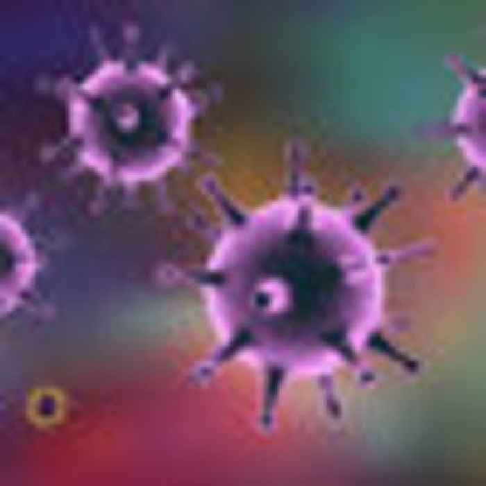 Herpes virus 'likely' main cause of multiple sclerosis, study finds