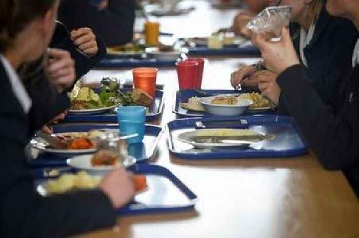 Covid-19 may be turning children into fussy eaters, say experts