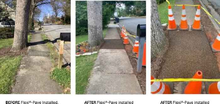 Atlantic Power and Infrastructure Installs Tree Surrounds in Tampa, Florida