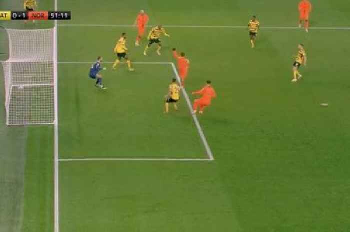 Josh Sargent scores Premier League's 'best goal ever' with audacious scorpion kick