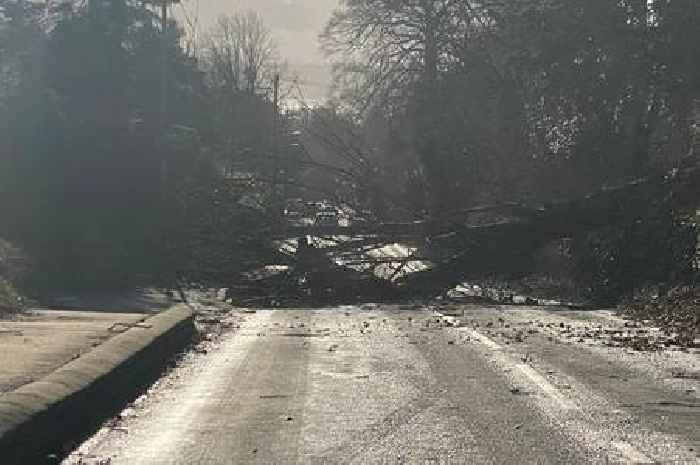 Live as Storm Malik winds hit Hull with fallen trees and 60mph gusts