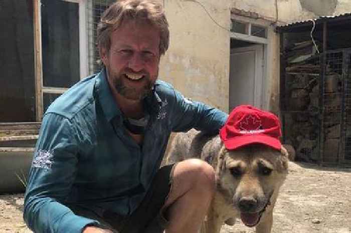 Pen Farthing's Nowzad animal rescue clinic reopens in Kabul