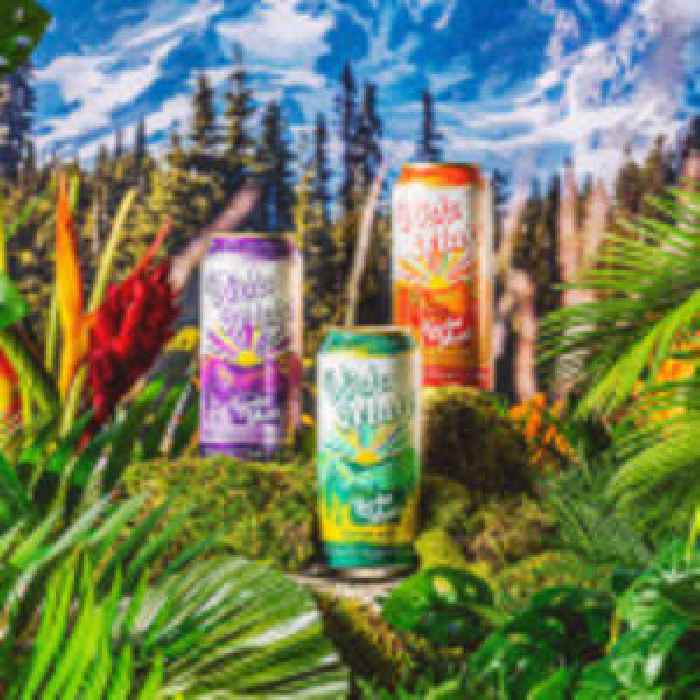 Schilling Cider Team Launches Vida Maté, a Healthier, Caffeinated Yerba Maté Crafted in the Pacific Northwest
