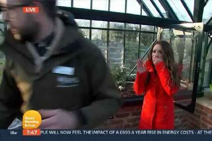 Good Morning Britain viewers say Laura Tobin's April Fool's Day prank as 'worst ever'