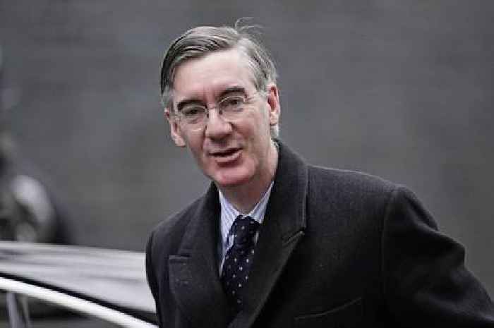 Jacob Rees-Mogg feels 'sorry' for David Warburton after sexual misconduct allegations