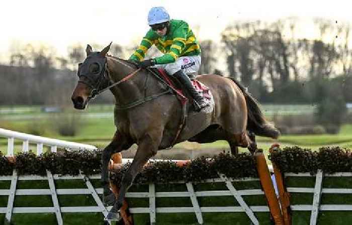 Grand National 2022 runners and riders: Full list of horses for Aintree race