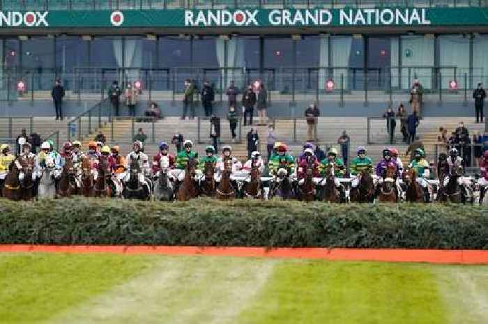 Did any horses die in the 2021 Grand National?