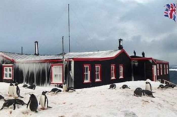 Job vacancy: Count penguins while running the world's most remote post office