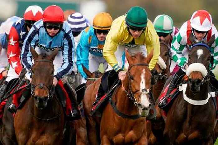 Grand National 2022 free sweepstake - download and print out runners and riders