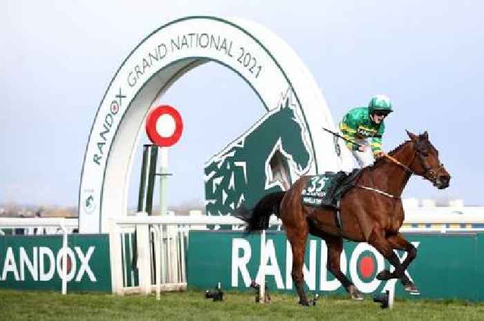 Last year's Grand National winner has no chance at this year's race, analysts say