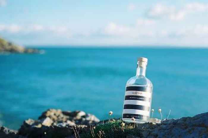 The Gower gin maker that's set to treble its potential output with a new distillery