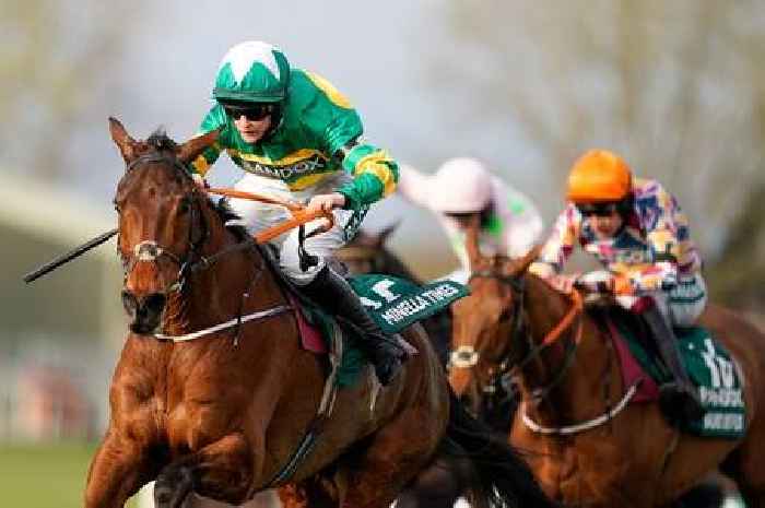 Grand National sweepstake kit 2022: Print our guide with full runners and riders