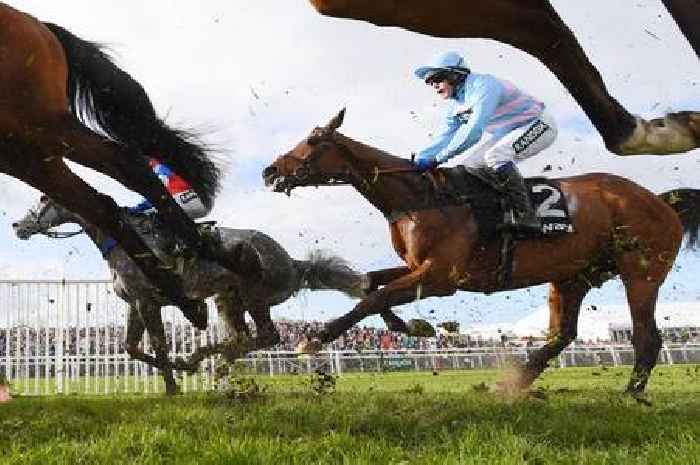 Dental practice owner wins Grand National 2022 on 50-1 long shot Noble Yeats