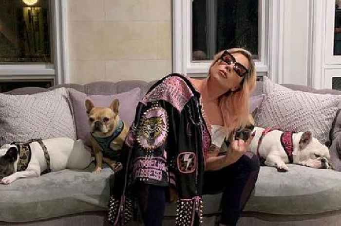 Accused gunman in Lady Gaga dog theft is mistakenly released from jail