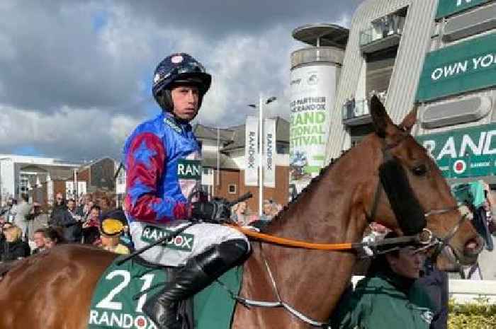 Animal welfare campaigners condemn death of three horses at Grand National 2022