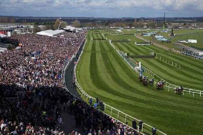 How many horses have died at the Grand National?