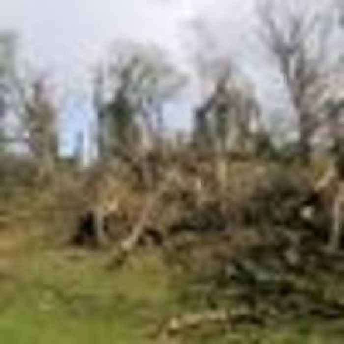 Tornado in Wales lifted lambs into the air