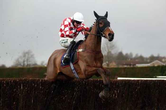 Fourth horse dies after Grand National