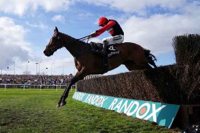 Derbyshire Live readers call for Grand National to be banned after four horses die
