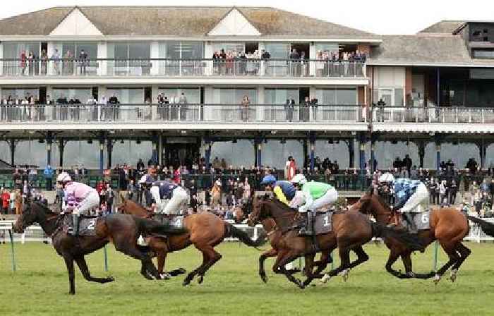 Horse racing tips and best bets for Ayr, Newmarket and Wolverhampton