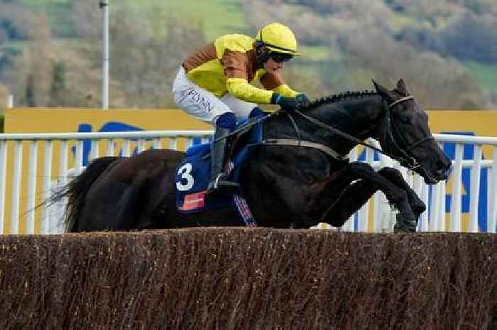 Horse racing tips and best bets for Cheltenham, Newmarket, Beverley and Kempton