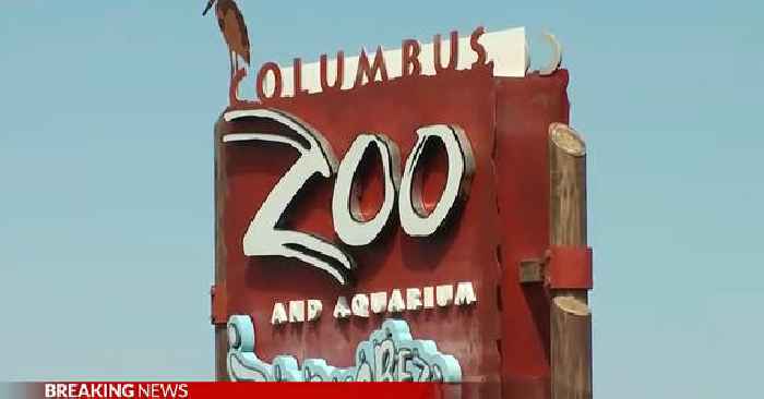 ‘Scariest Moment of My Life’: Traffic Incident Leads to Tasers and ‘Active Shooter’ Scare at Columbus Zoo and Aquarium