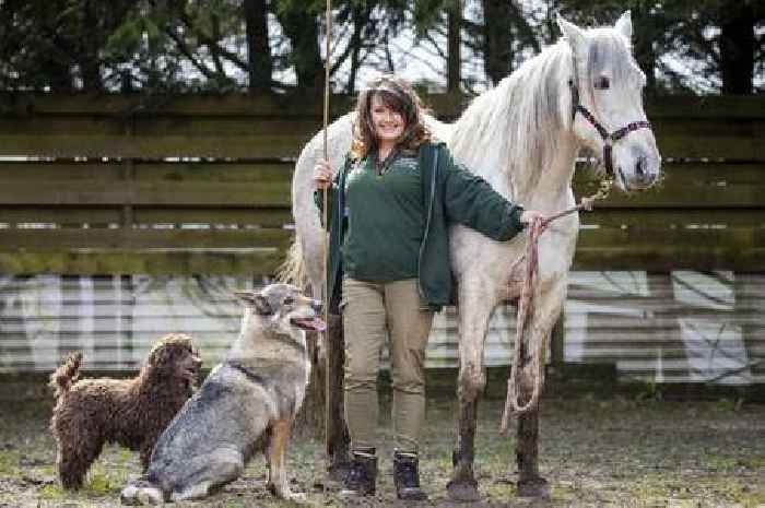 Scots mum who worked with Gerard Butler trains pets to star in blockbuster movies