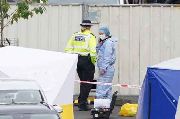 Three women and man knifed to death in London