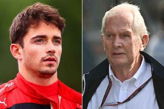 Red Bull chief makes 'lucky' Charles Leclerc and Lewis Hamilton comparison