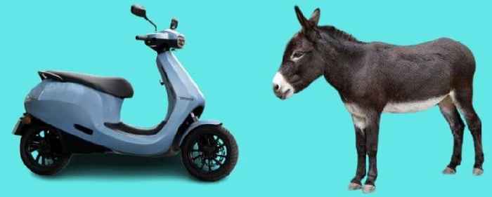 Pray for the man who paraded an Ola scooter through town with a donkey