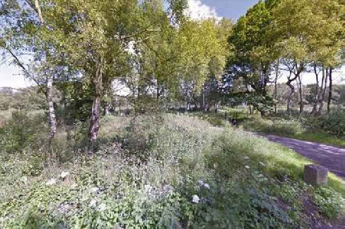 Travellers at Bisley Commons nature reserve served papers to leave site by Surrey County Council