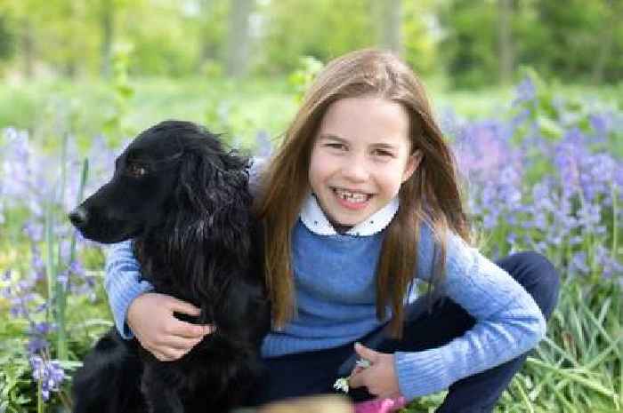 Princess Charlotte pictured on her seventh birthday