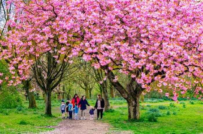 Met Office weather forecast for Birmingham on Bank Holiday Monday