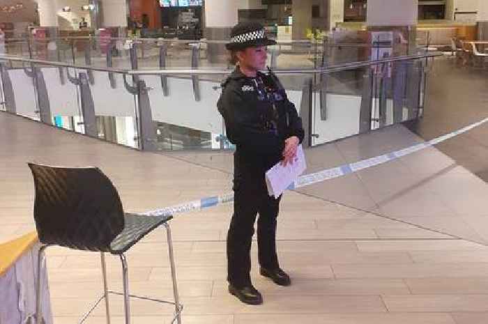 Lakeside Shopping Centre murder investigation sees two quizzed by police
