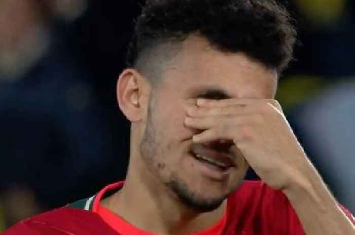 Luis Diaz in tears as Liverpool star reaches Champions League final in debut season