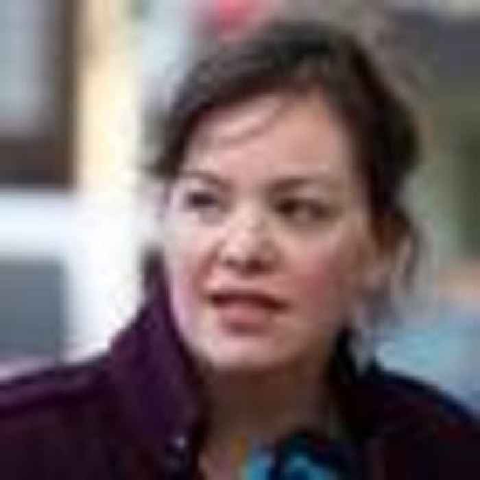 Ombudsman re-investigating Green MP Julie Anne Genter's secret letter