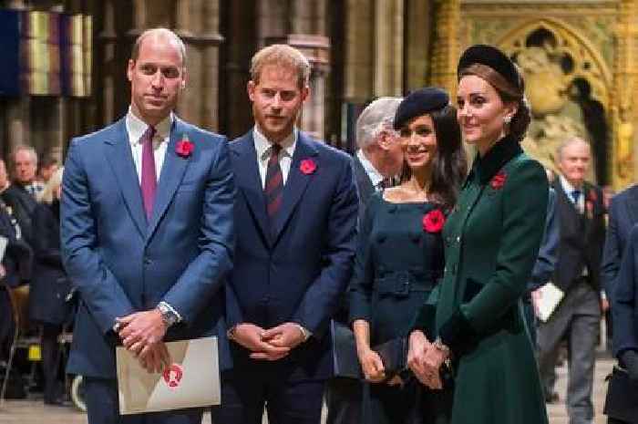 Prince Harry and William feud pre-dates Meghan Markle by years