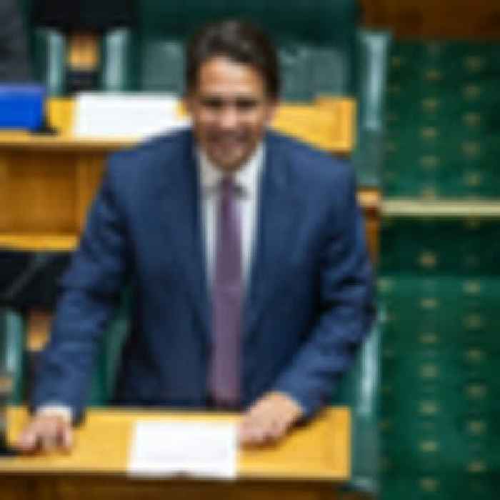 Simon Bridges bows out, saying 'it's better to burn out than to fade away'