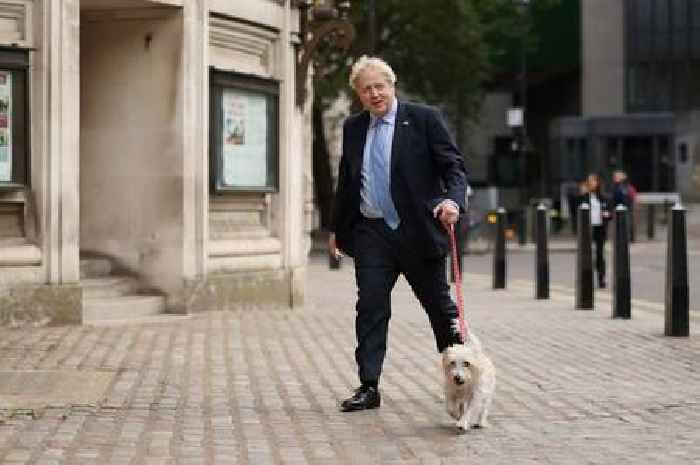 Is that Simon Cowell? Boris Johnson 'mistaken' for BGT judge as he goes to vote in local elections 2022