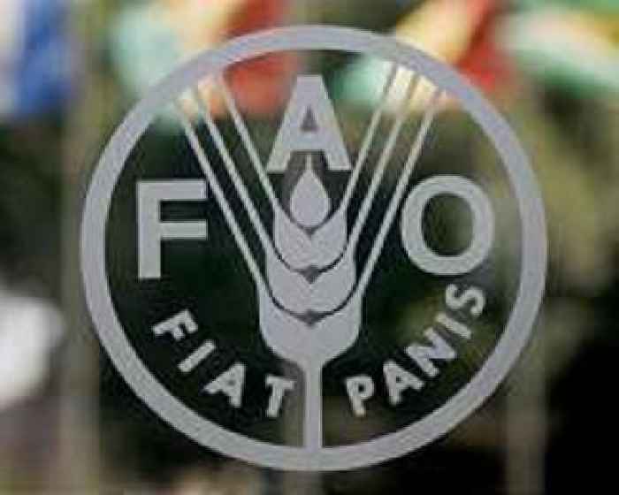 World food prices fall slightly from record high over Ukraine war: FAO